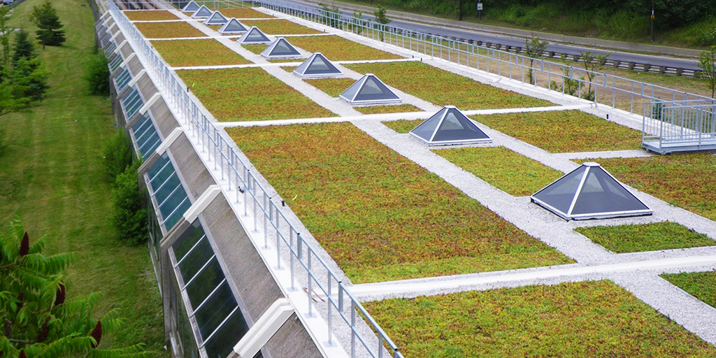 Eglington West Station Greenroof (Image: CoT)