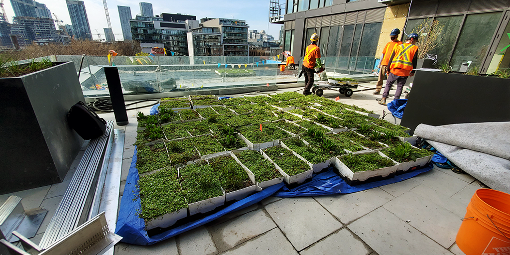 Planting installation at Waterworks (Image: JRS)