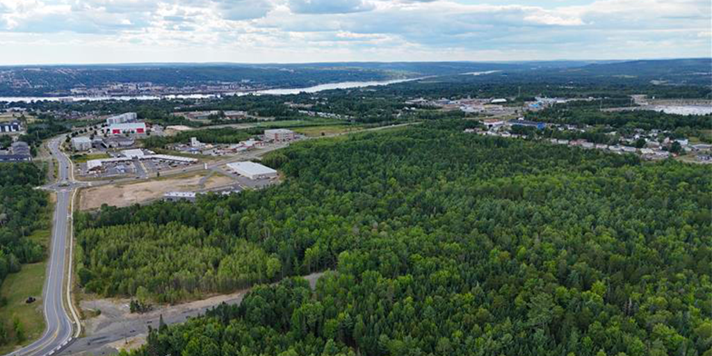 Fredericton's urban forest comprises woodlands and forests, parks and open space, and street trees. (Image: City of Fredericton) 