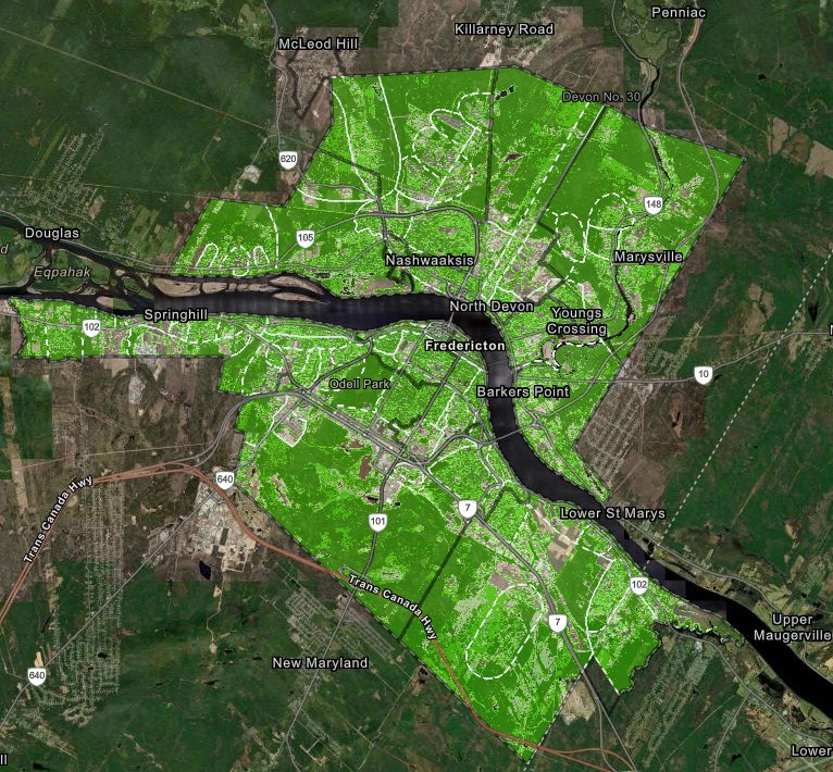 Extent of the urban forest canopy model within the UFMS. (Stantec)