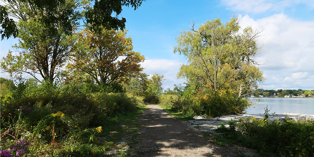 Niagara River Recreation Trail at Gonder’s Flats.&nbsp;(Image: S. Careri)