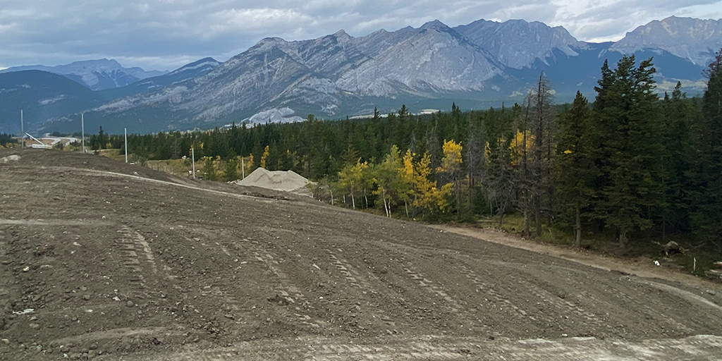 Overpass grading and soil placement (Image: DIALOG)