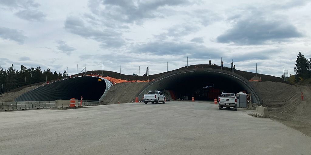 Construction progress on the overpass (Image: DIALOG)