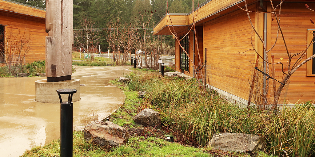 Rain gardens surrounding main amenity space. (Image: S. Careri)  