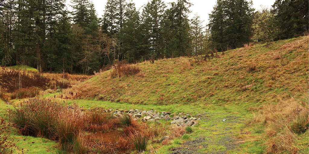 Excavated materials repurposed into berms and mounds, creating new topographic experiences. (Image: MDI)