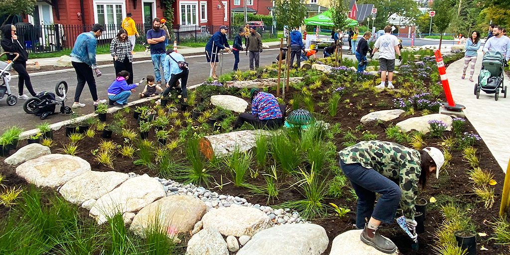 Community planting party, September 2024. (Image: City of Vancouver) 
