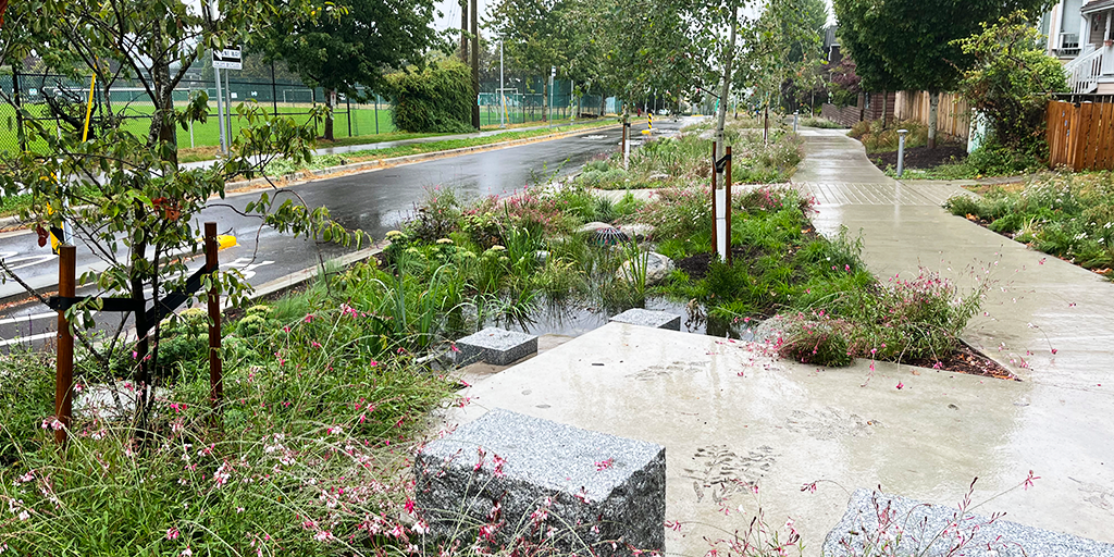 Small areas for gathering interspersed within the planting. (Image: City of Vancouver).