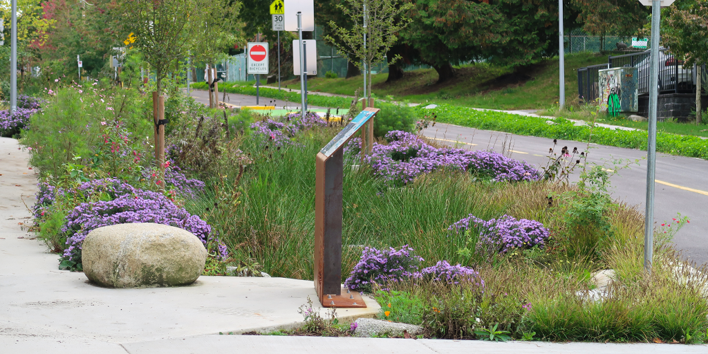 Integrated blue–green system supporting drainage, ecology, and community use. (Image: S. Careri)