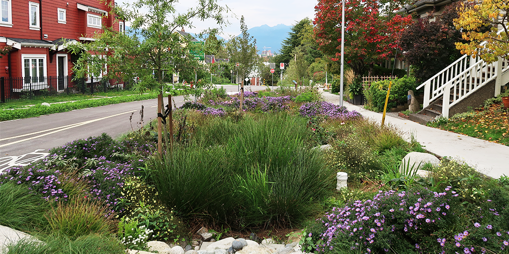 Delivering stormwater management and biodiversity recovery on the public right-of-way. (Image: S.Careri)