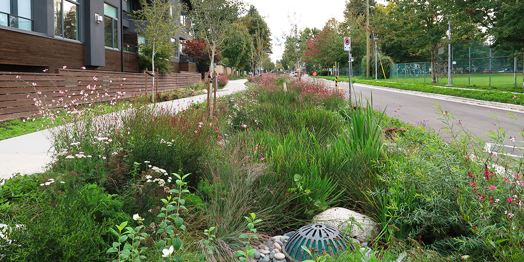 Planting on St George between 7th and 6th Ave. (Image: S. Careri)