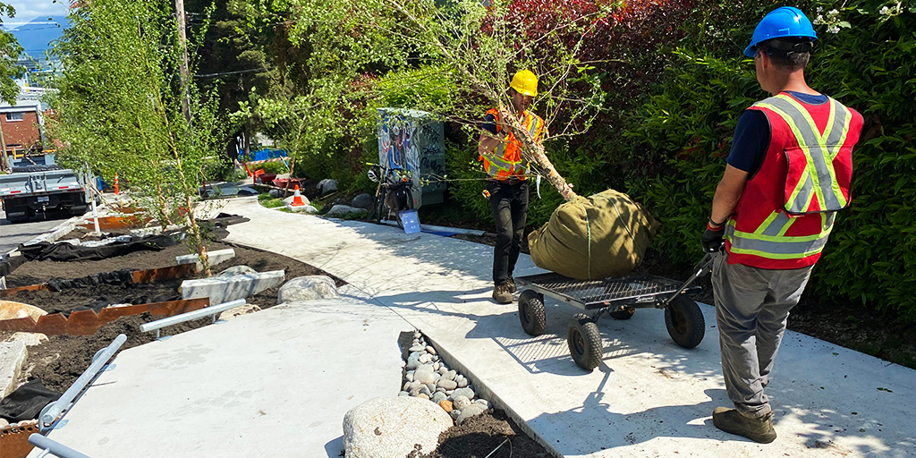 Planting in progress. (Image: City of Vancouver)