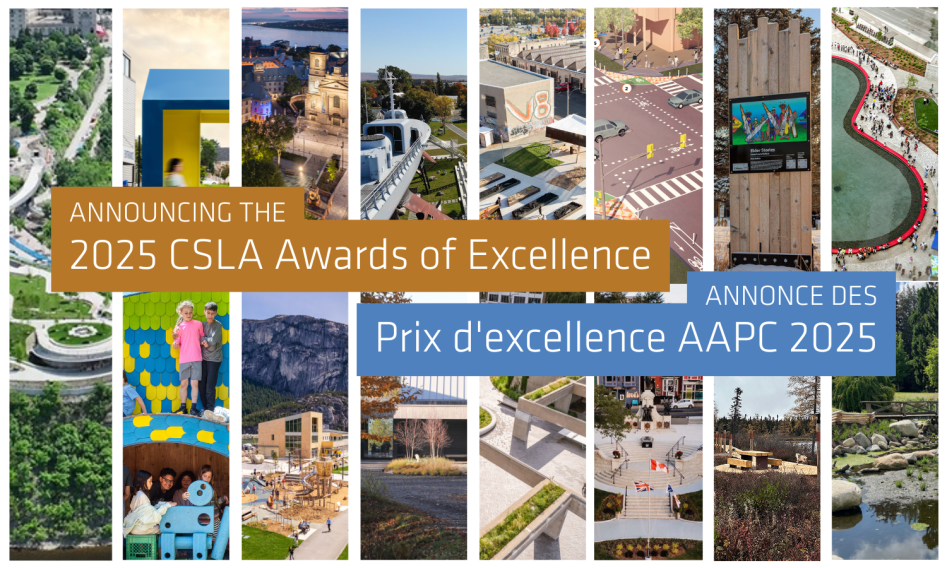 CSLA Announces the Recipients of the 2025 Awards of Excellence