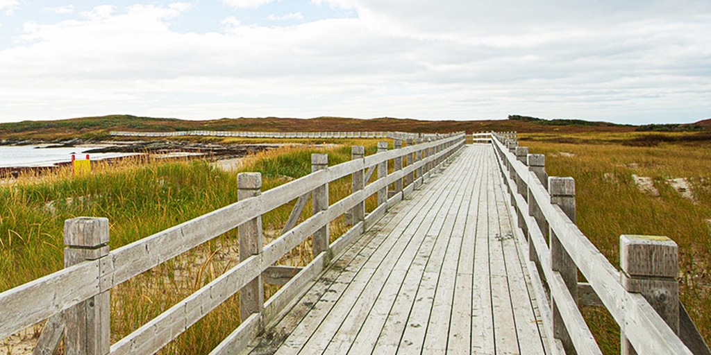 Grand Bay West Boardwalk (Image: Tourism Southwest)