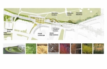 The planting palette features pioneering species and diverse textures to recall the historic shoreline.  Image Credit PUBLIC WORK