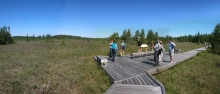 North Fen Node viewing deck during CSLA 2016 Congress Tour, June 23, 2016.