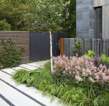 The planting uses a mix of ground covers, mid-height and taller plants to create a more resilient and biodiverse palette.