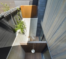 A Clematis vine spills down a concrete wall into view form the basement terrace.