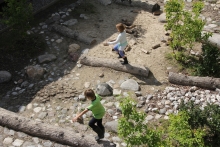 An ‘eventful’ framework for children and plants.