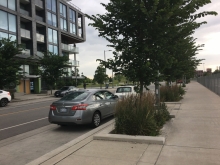 Stormwater tree pit capturing sidewalk water runoff  