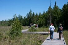 Zig-zag deck configuration through cedar grove in North fen from south during CSLA 2016 Congress Tour.