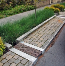 Stormwater tree pit with trench drain capturing road water runoff  