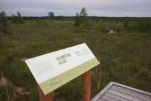 Interpretive Sign on South Fen Peninsula Node.