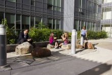 Natural materials connect users with nature (second floor)