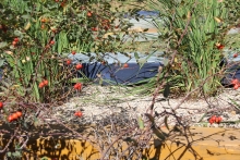 Colours, chlorophyll and roses form a satisfying element not only thanks to the rosehips.