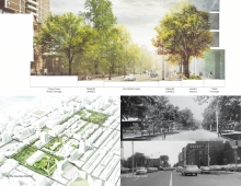 The Garden District connects discrete parks, streetscapes and open spaces into a cohesive green whole