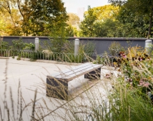 Low maintenance native plantings