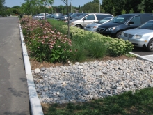 Biofilter strip with riverstone inlet