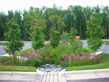 Parking lot water runoff into bioretention installation