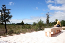 South Fen Node viewing deck and benches.