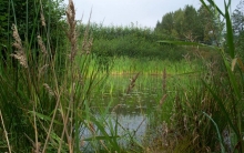 Burnaby Mountain North East Secondary School