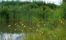 Burnaby Mountain North East Secondary School