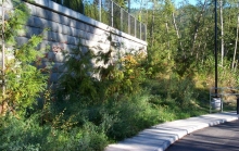 Burnaby Mountain North East Secondary School