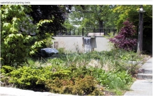 Lester B. Pearson Garden for Peace and Understanding