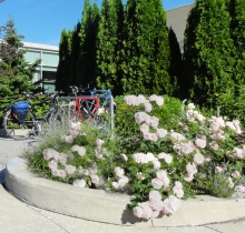 Canadian National Institute for the Blind Headquarters