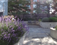 Canadian National Institute for the Blind Headquarters