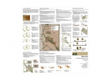 Benalto Area Redevelopment Plan