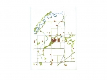 Benalto Area Redevelopment Plan