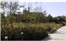 Spadina Quay Wetland