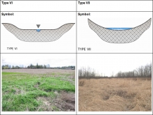 Town of Markham Small Stream Study