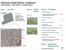 Town of Markham Small Stream Study