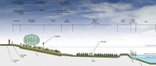 Ecological Restoration, Roper Regional Westland