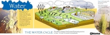 Ecological Restoration, Roper Regional Westland