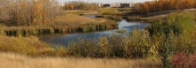 Ecological Restoration, Roper Regional Westland