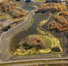 Ecological Restoration, Roper Regional Westland