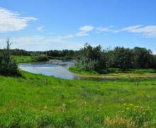 Ecological Restoration, Roper Regional Westland