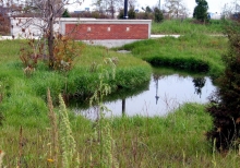 Colonel Samuel Smith Park – Artificial Ice Trail